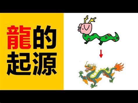 龍特徵|龍有“九似”，像九種動物：角似鹿